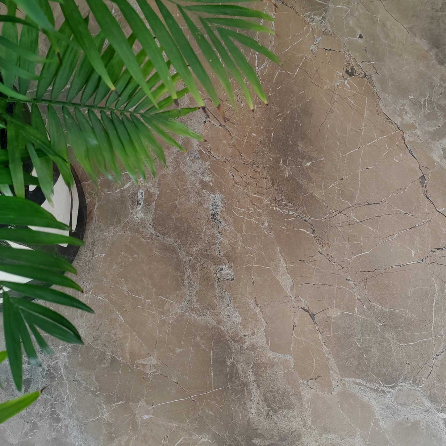 plateau de table sur mesure restaurant marbre grec restootab